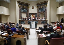 Diputados autonómicos, este martes, durante el Pleno de la Asamblea.