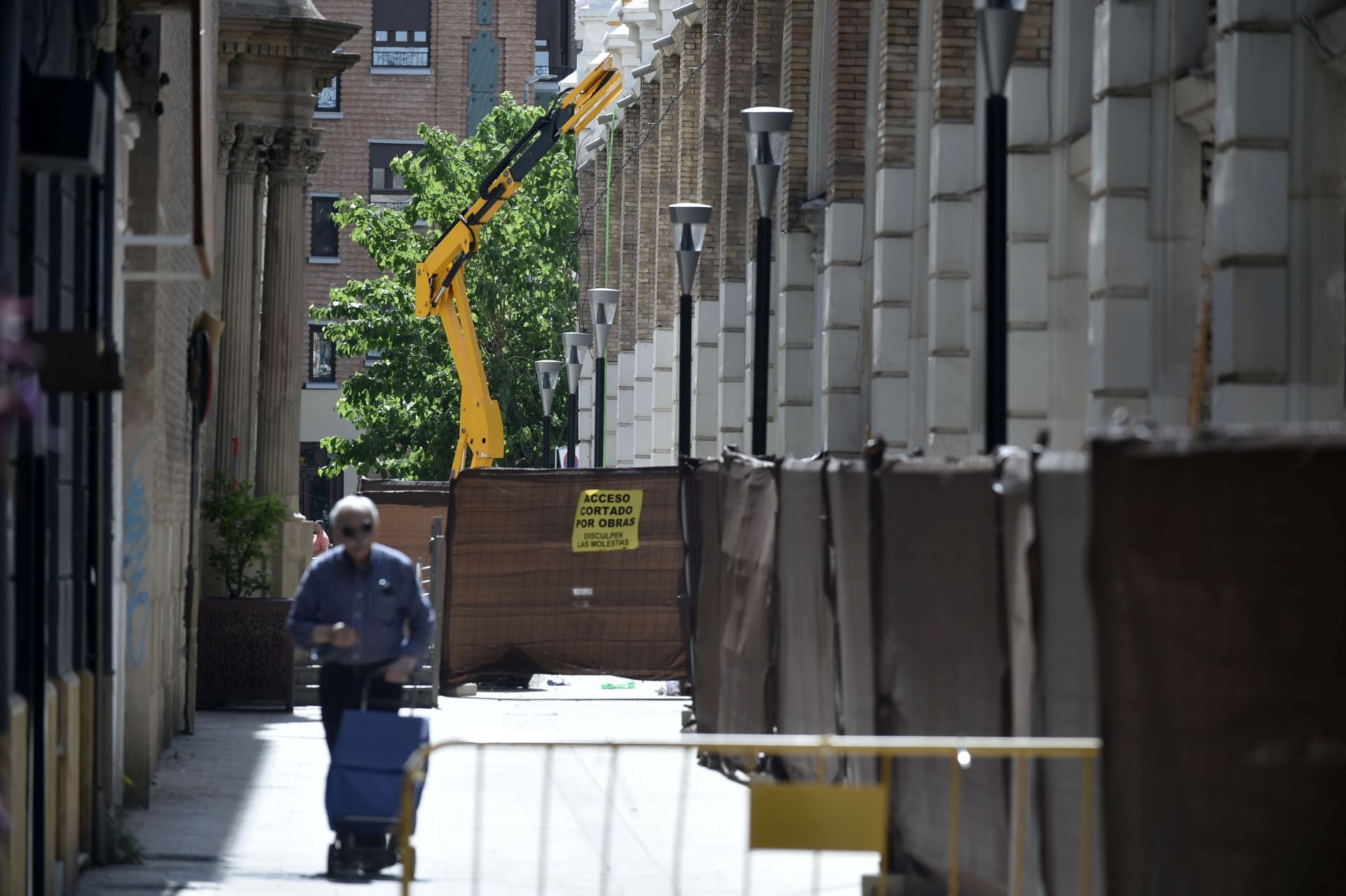 Las imágenes de las obras en el Mercado de Verónicas de Murcia