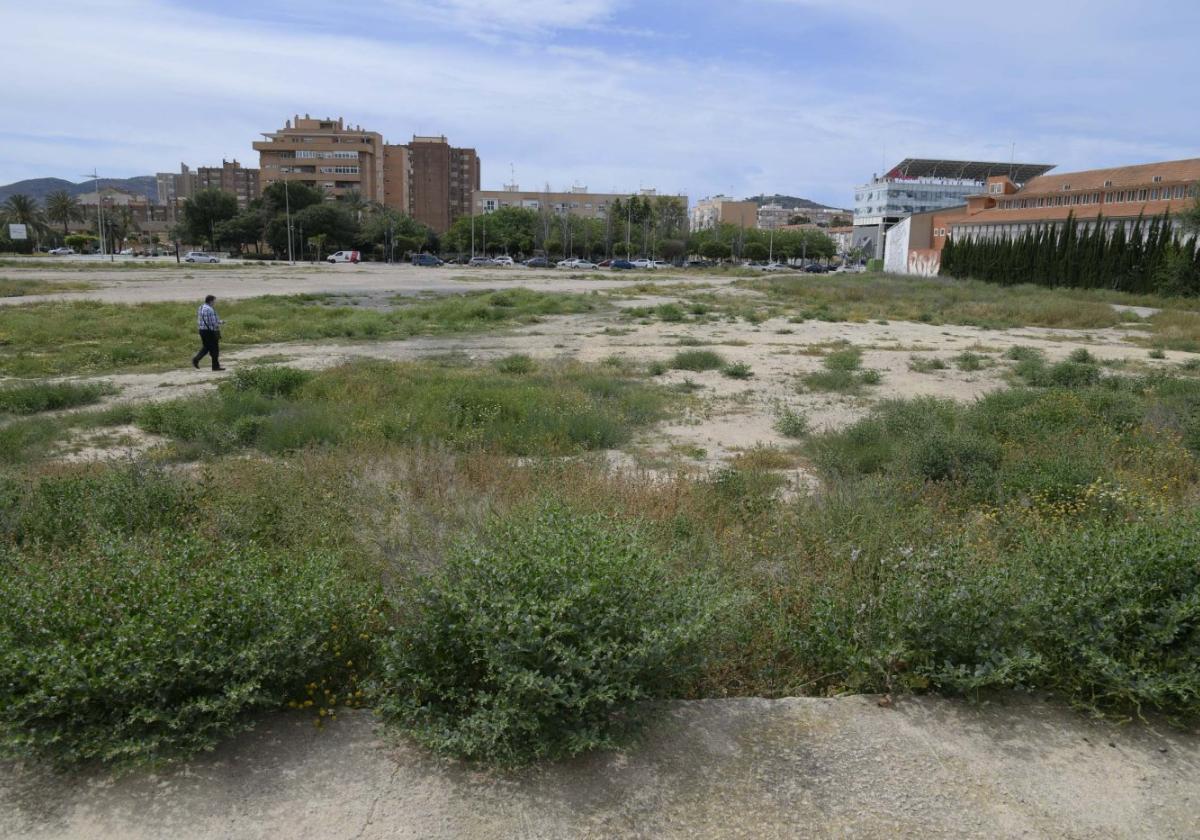 La ampliación del conservatorio de música de cartagena se atasca en educación | la verdad