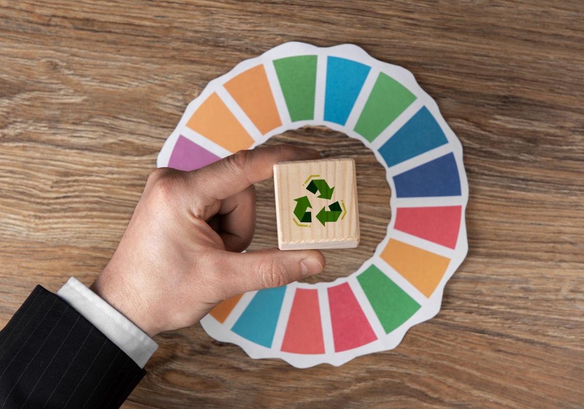 Dsm, gestión integral de residuos industriales, descontaminación de suelos y desmantelamiento industrial | la verdad