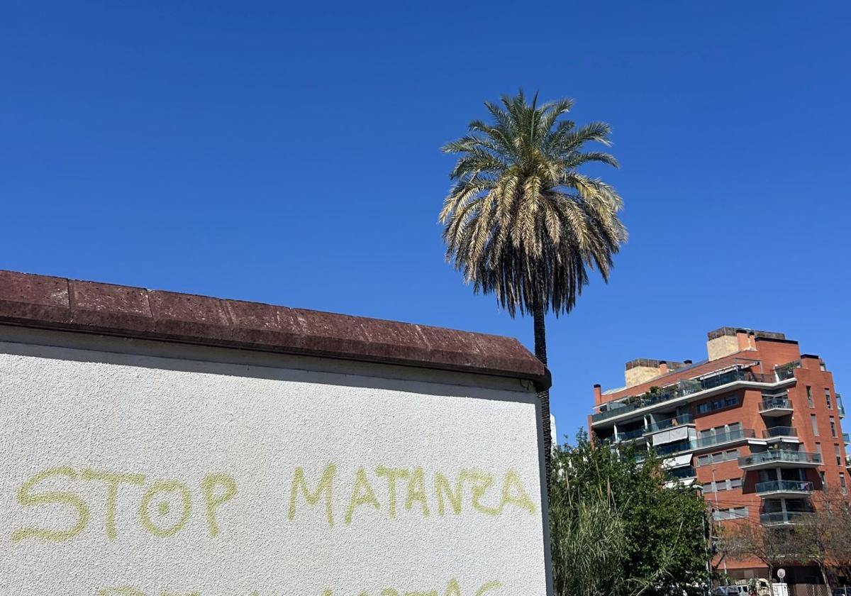 La pintada, en la calle Atocheros de Murcia.
