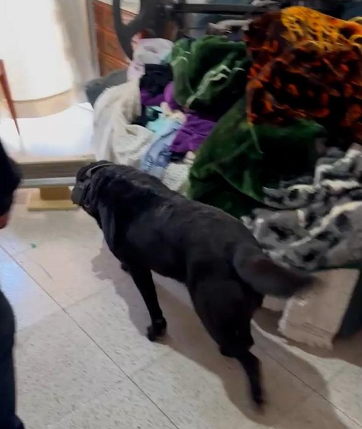 Imagen secundaria 2 - Desmantelan un activo punto de venta de droga en una pedanía de Murcia