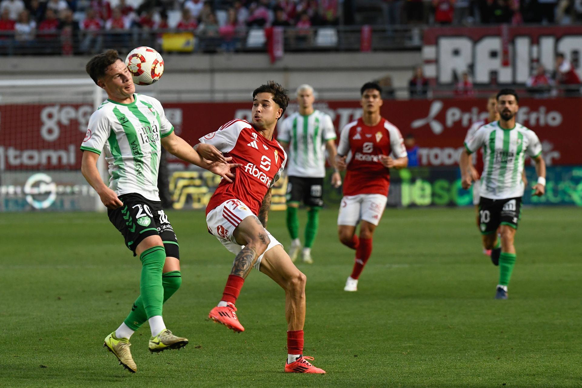 El empate del Real Murcia contra el Antequera, en imágenes