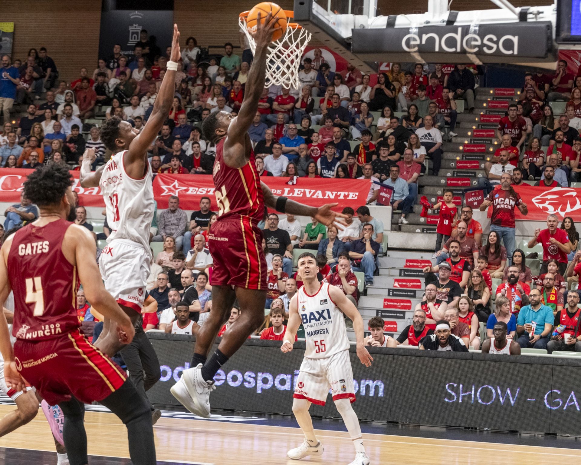 Las imágenes del UCAM-Manresa (81-71)