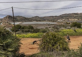 La bahía de Portmán, en una fotografía tomada en marzo de este año.