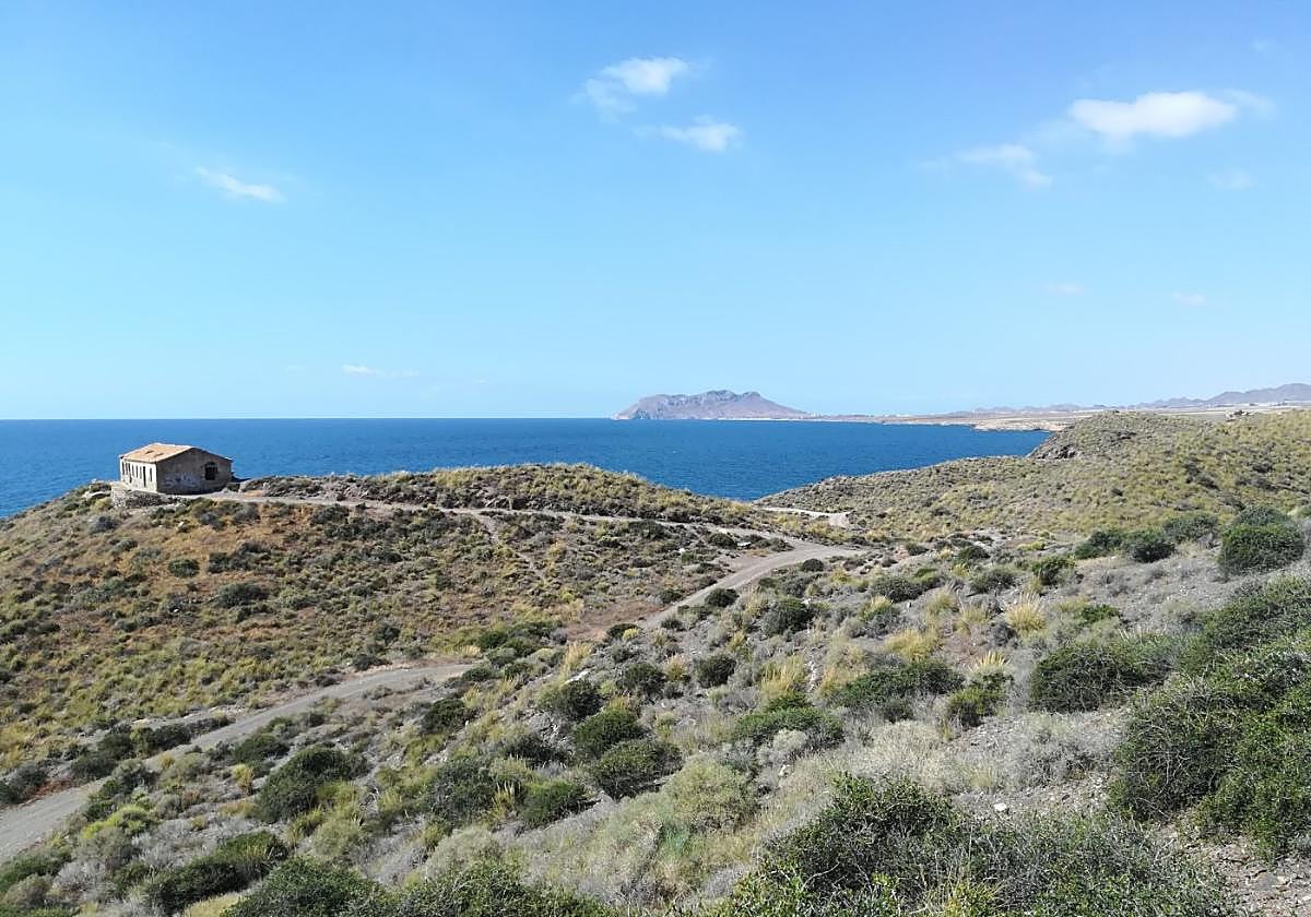 Arbustos en el parque regional. Al fondo, Cabo Cope.
