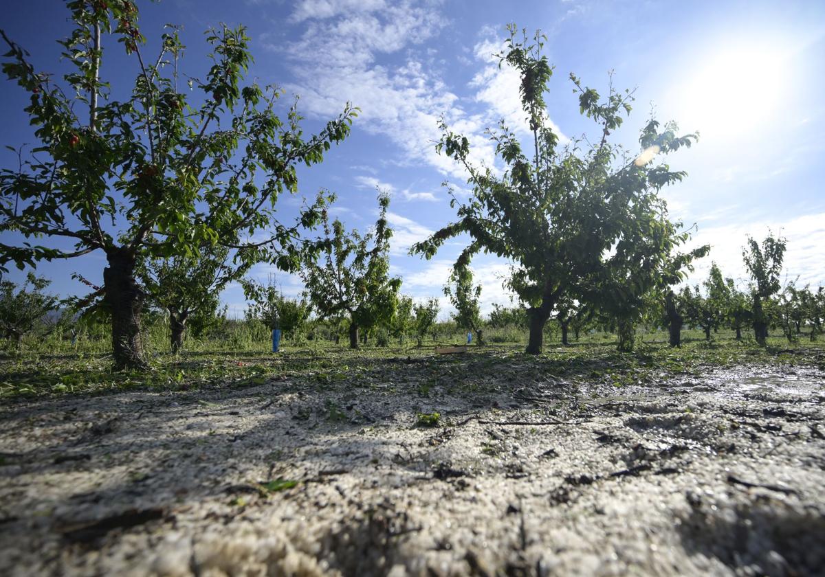 Cajamar habilita una línea de financiación de 40 millones para los damnificados por el granizo en la región de murcia | la verdad