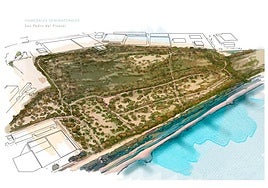 Humedal de San Pedro.