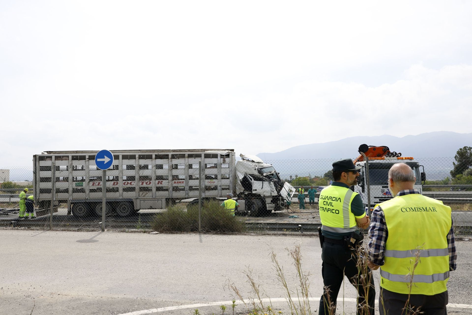 El vuelco de un camión de cerdos en Librilla, en imágenes