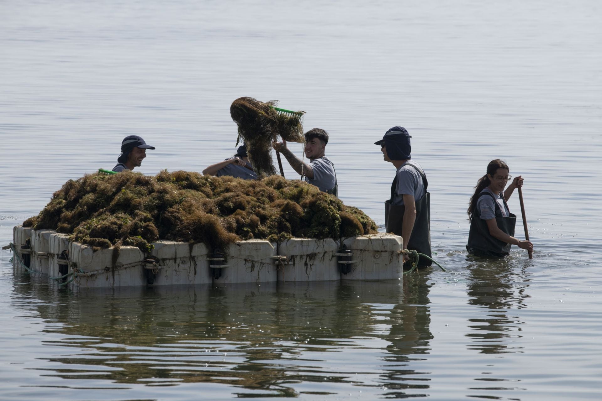 Retirada de biomasa en el Mar Menor, en imágenes