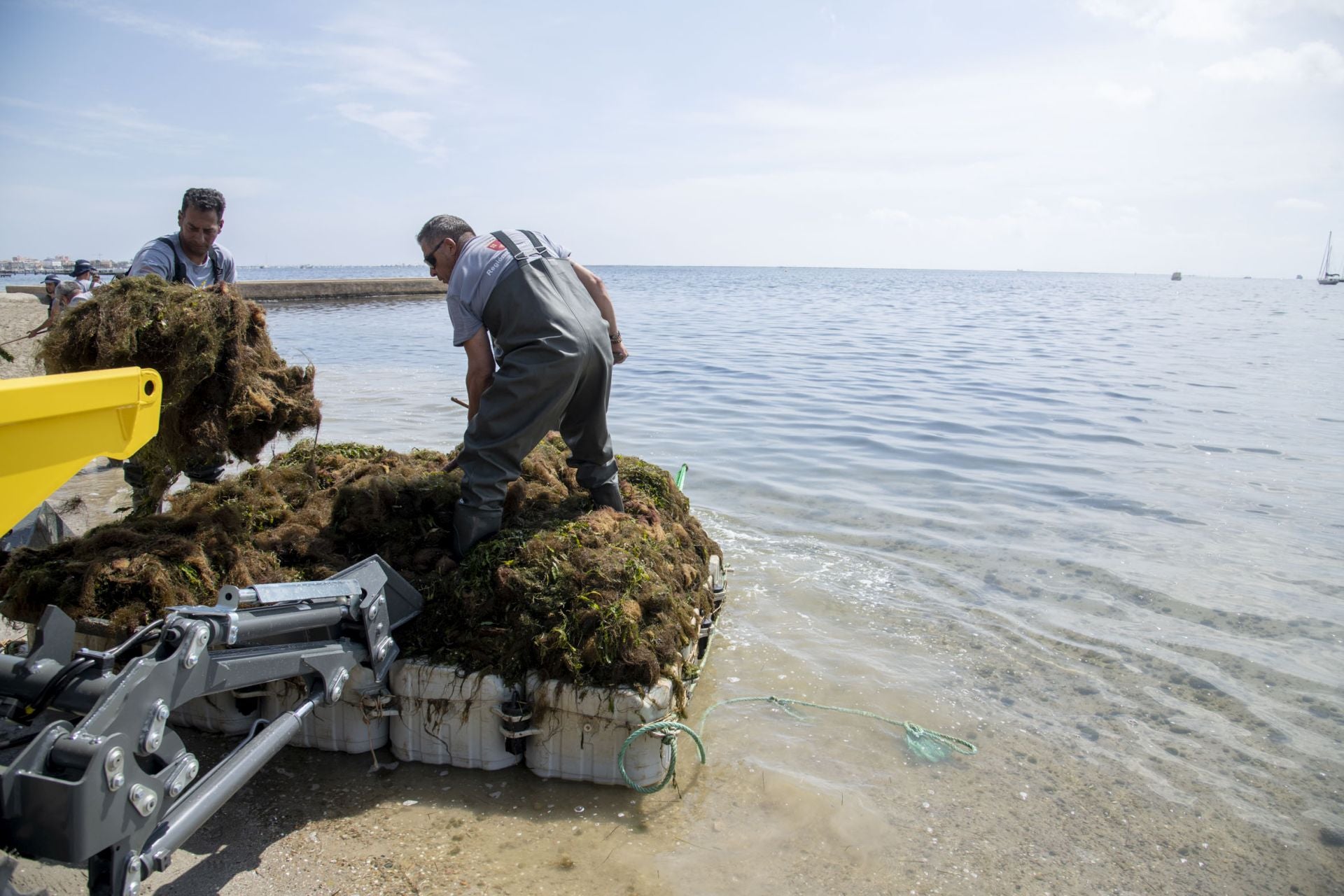 Retirada de biomasa en el Mar Menor, en imágenes