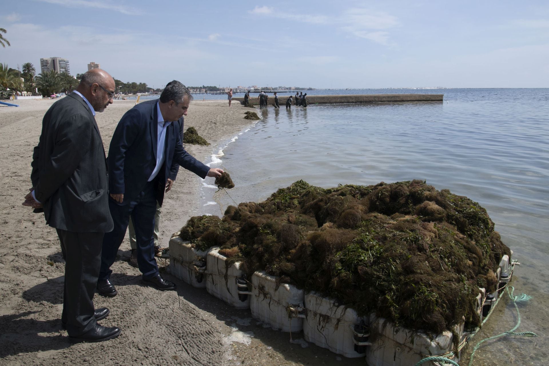 Retirada de biomasa en el Mar Menor, en imágenes