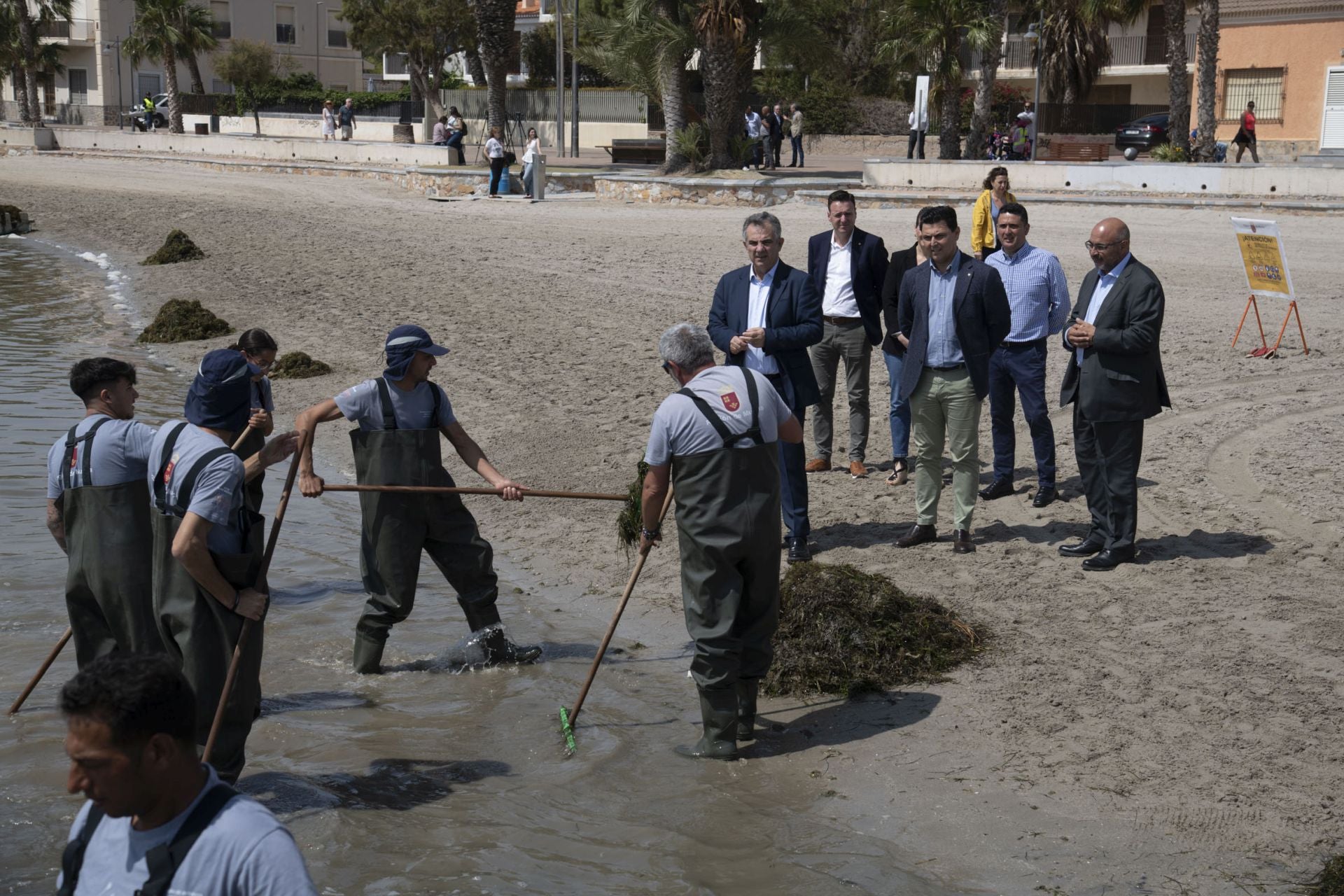 Retirada de biomasa en el Mar Menor, en imágenes