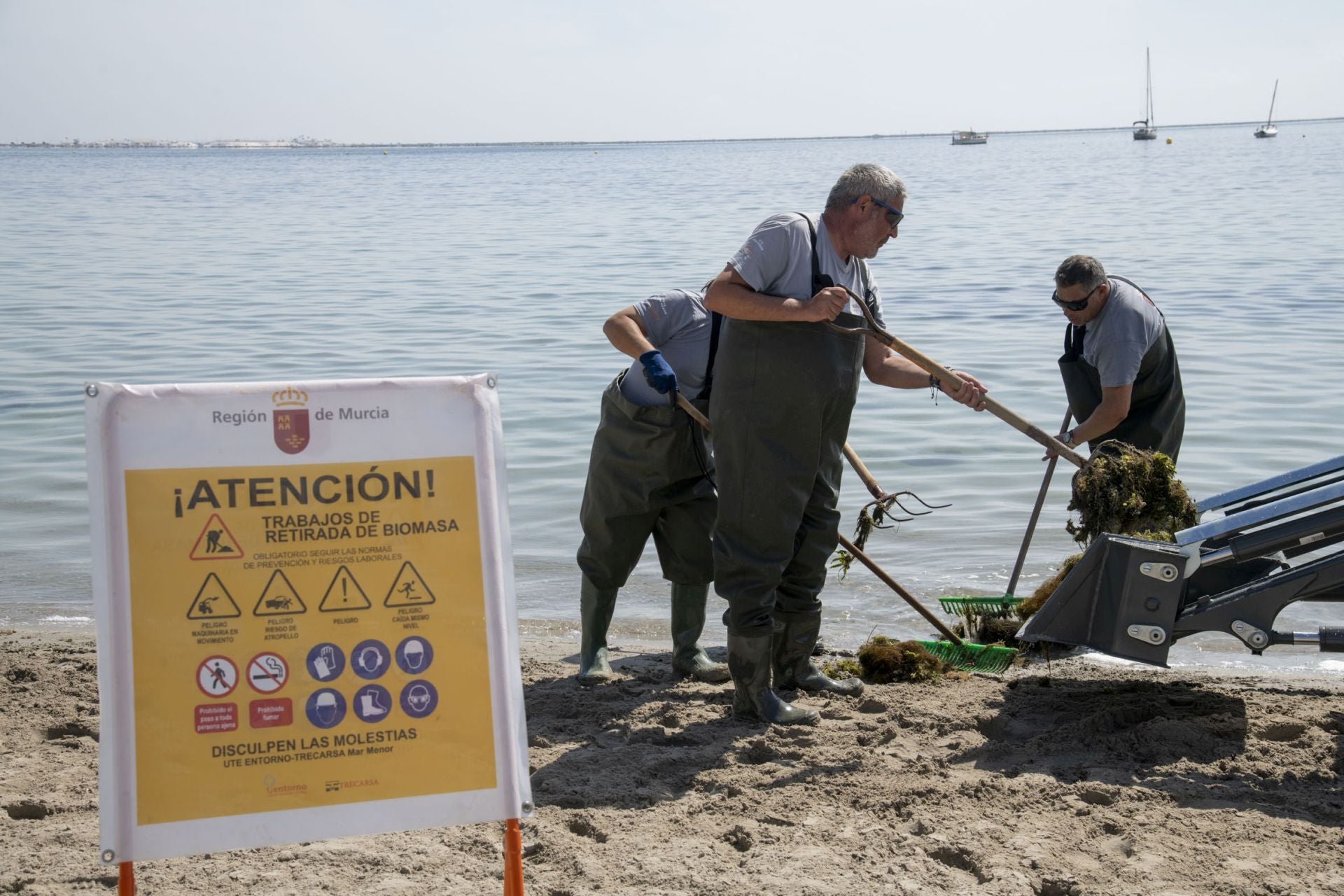 Retirada de biomasa en el Mar Menor, en imágenes
