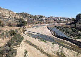 Ribera del río Argos a su paso por Cehegín en la que se están llevando a cabo los trabajos.