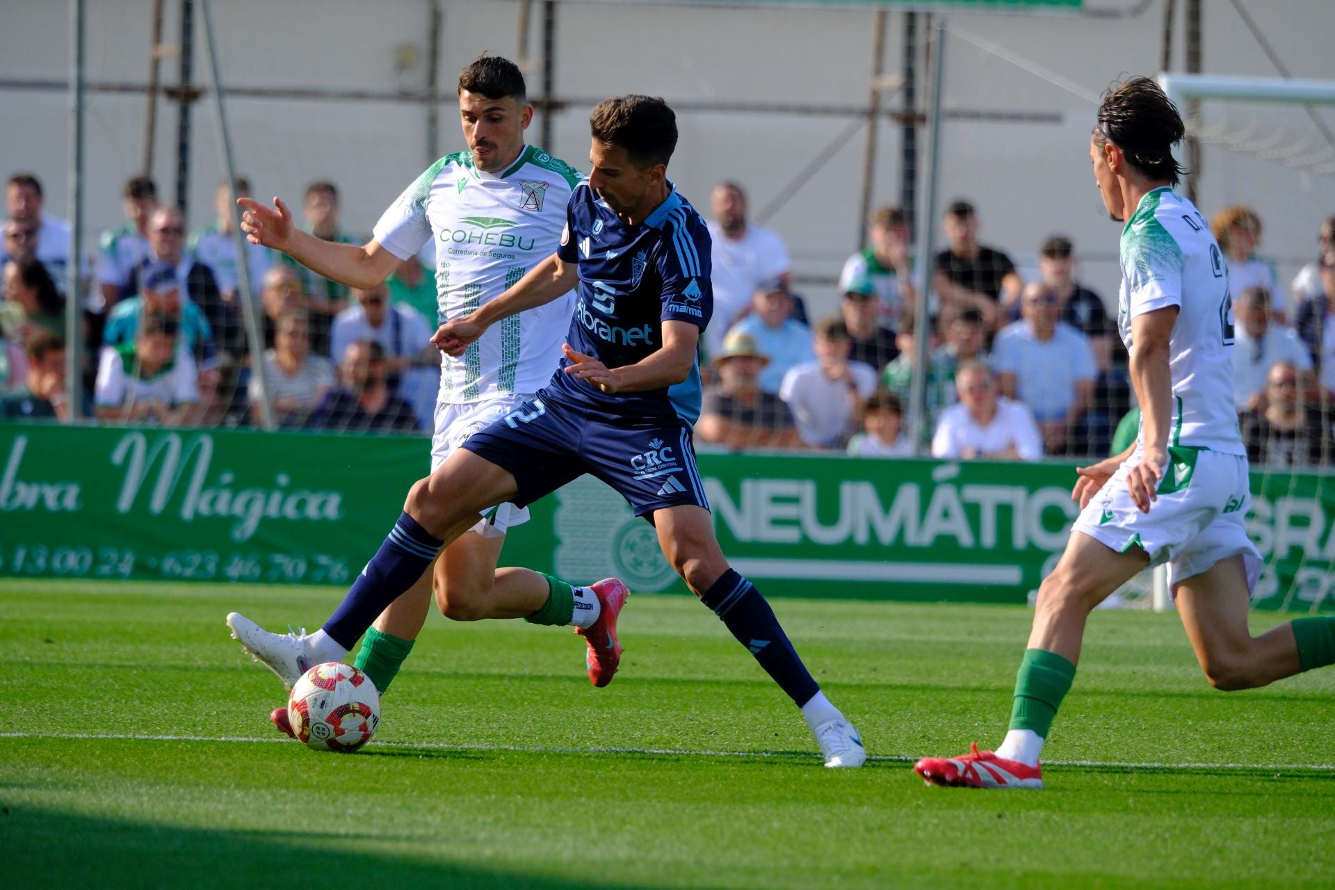 El empate del Real Murcia frente al Atlético Sanluqueño, en imágenes