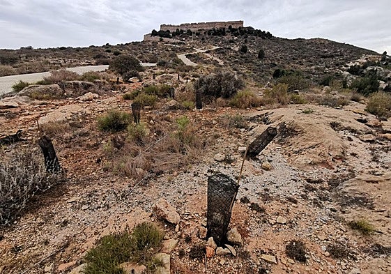 Anse realizó hace décadas una primera reforestación en las laderas del castillo de la Atalaya que se trató de extender en 2021 con una nueva plantación impulsada por Repsol.