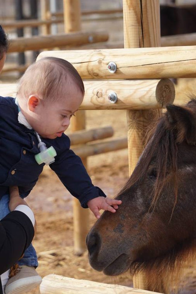 Wilmer Daniel acaricia a un caballo en la Fundación Centauro Quirón.