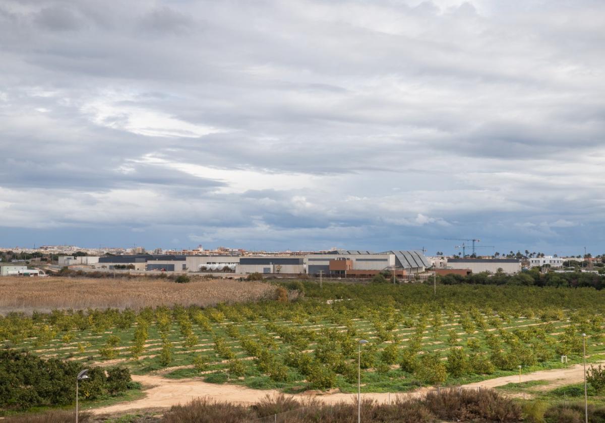 El alcalde de torrevieja se opone a la construcción de la nueva desaladora | la verdad