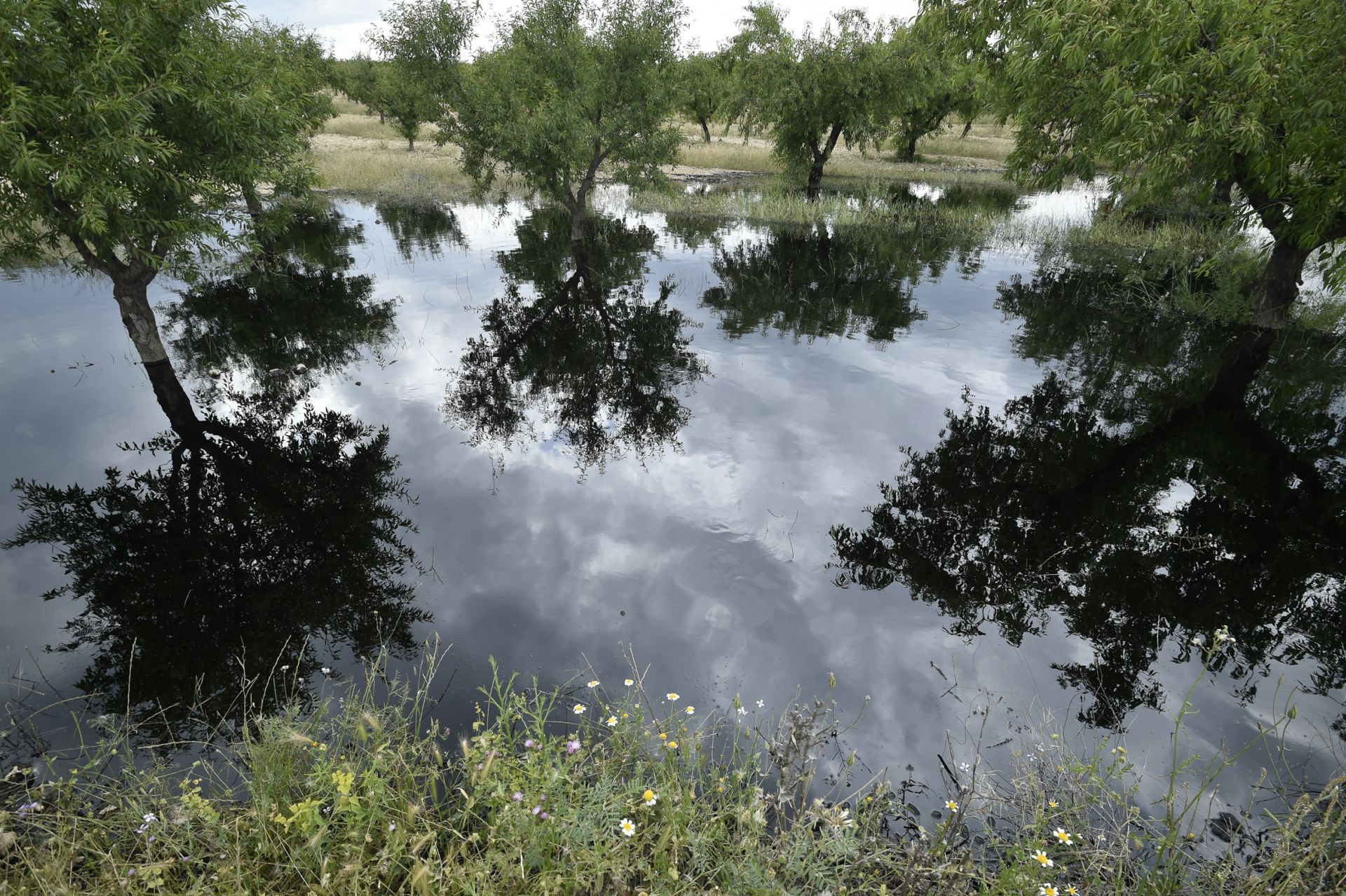 Las imágenes del vertido de petróleo en una finca de Calasparra