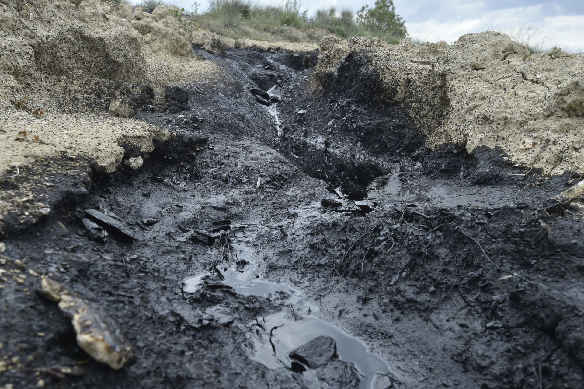 Las imágenes del vertido de petróleo en una finca de Calasparra
