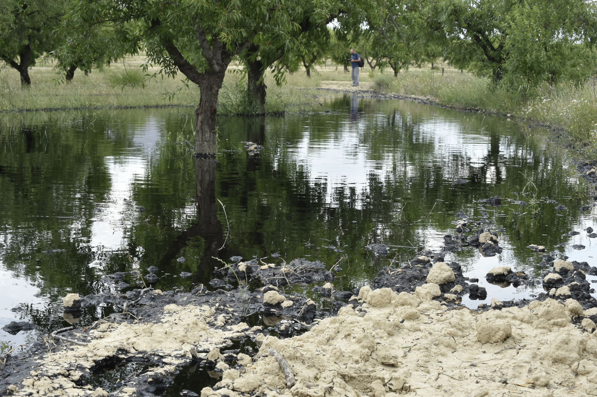 Las imágenes del vertido de petróleo en una finca de Calasparra