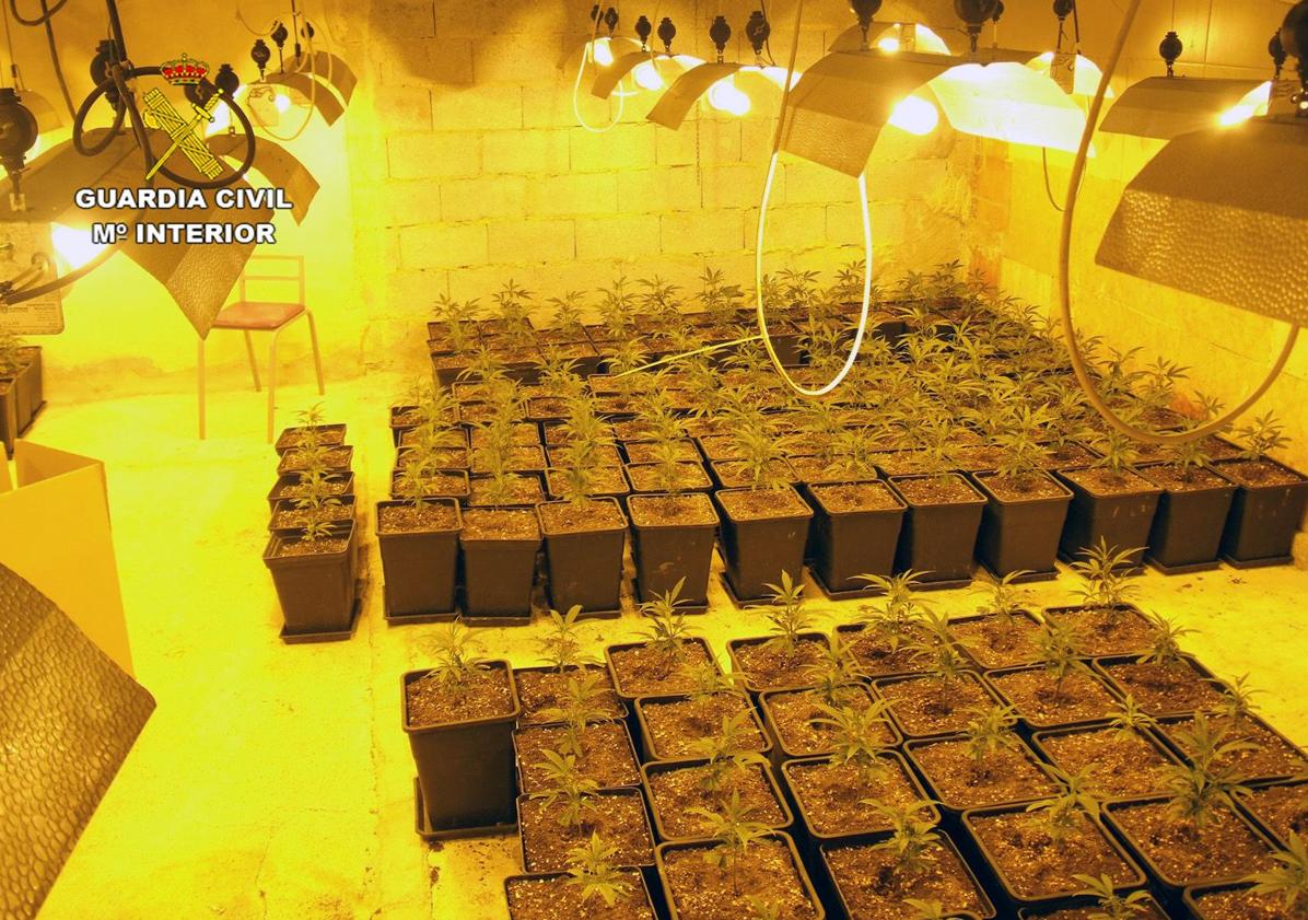 Imagen principal - Trece detenidos por una operación antidroga contra un clan familiar en San Javier y San Pedro del Pinatar