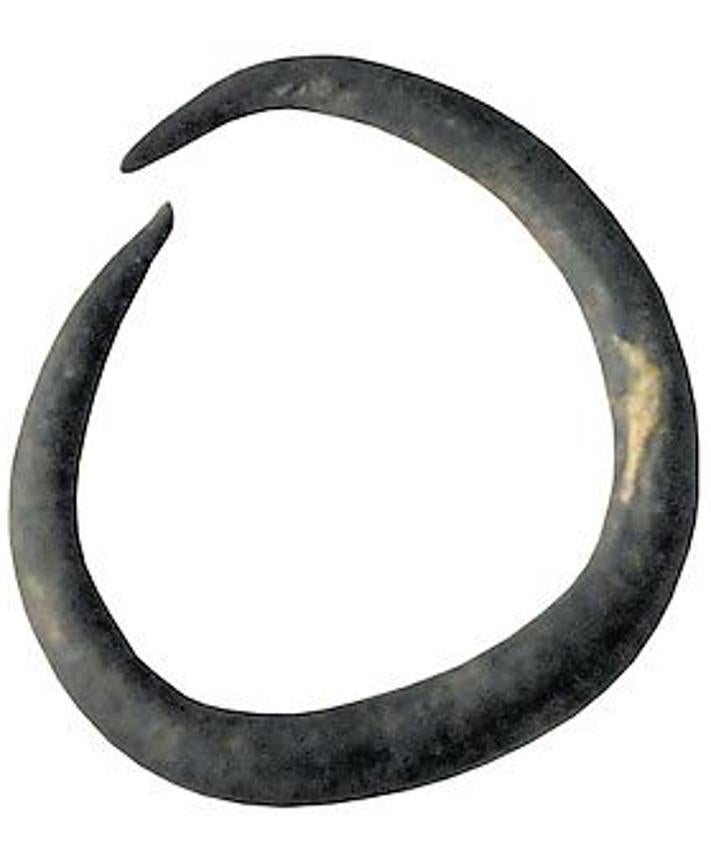 Imagen secundaria 2 - Arriba: Defensas de elefante. Abajo: Colgante de oro de la Isla de Adentro (Mazarrón) y nezem o anillo de nariz.