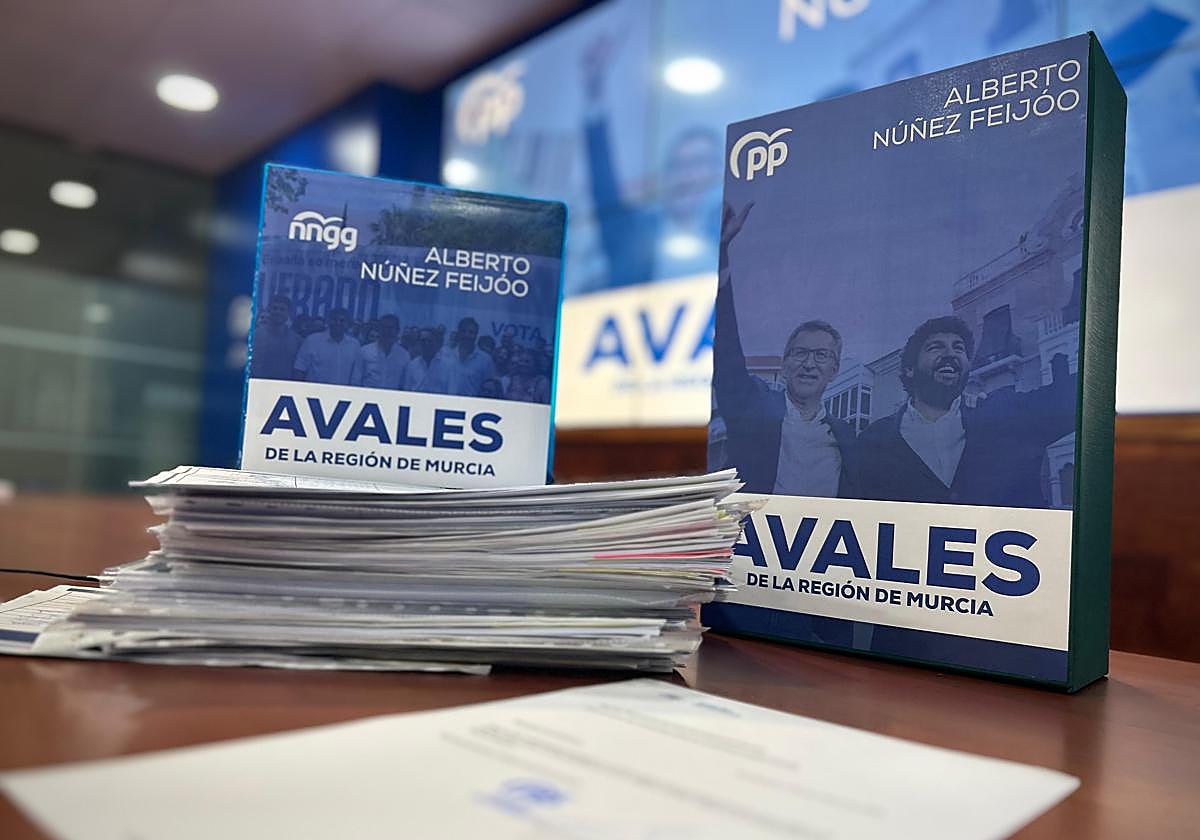 Avales de apoyo a Feijóo para el congreso del PP.