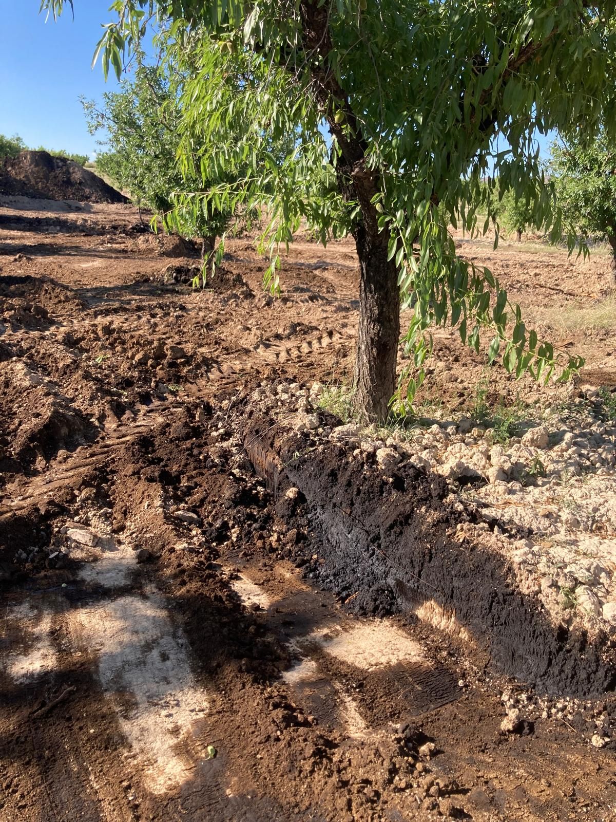 El petróleo vertido se infiltra dos metros en la finca de Calasparra