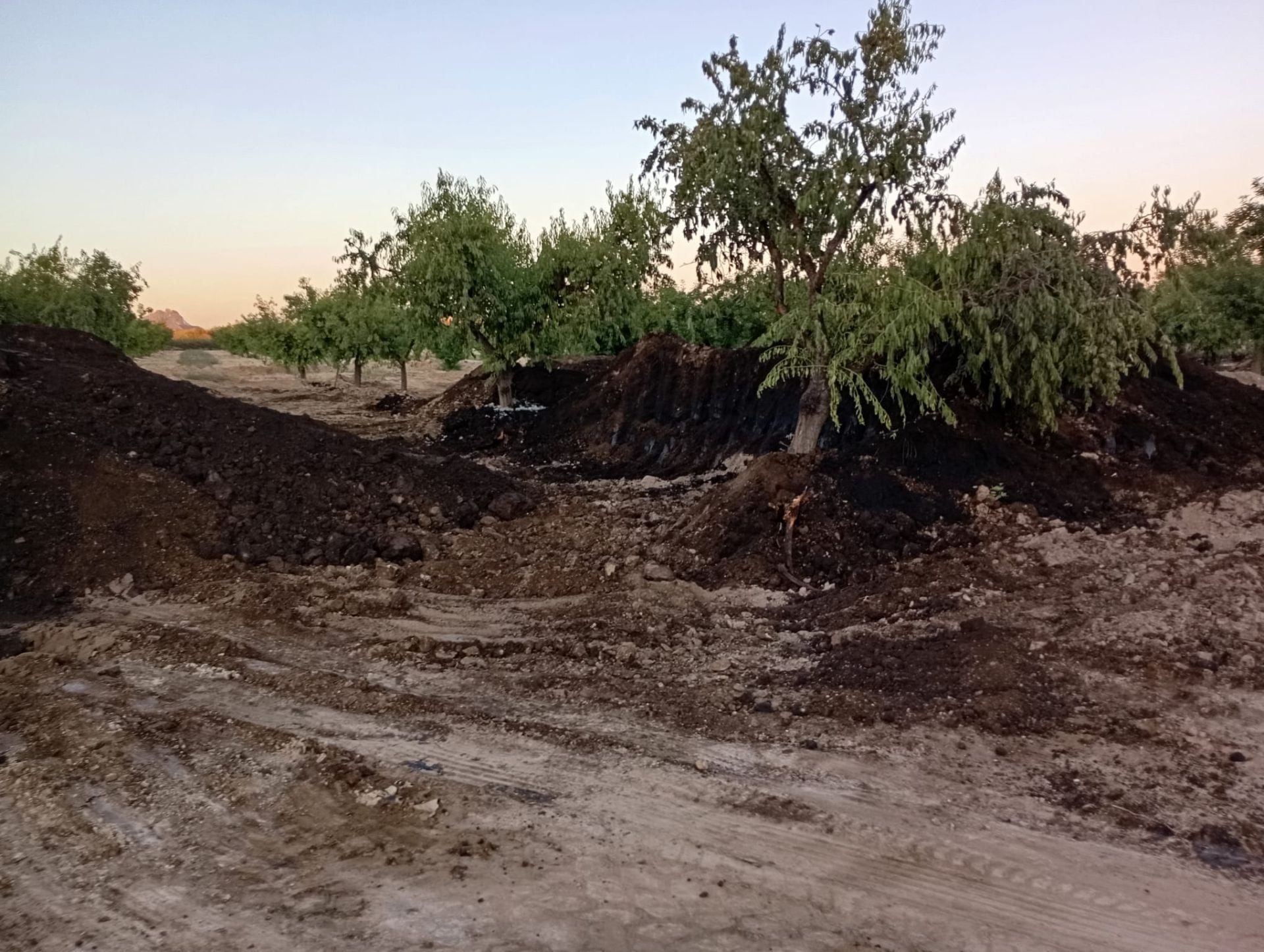 El petróleo vertido se infiltra dos metros en la finca de Calasparra