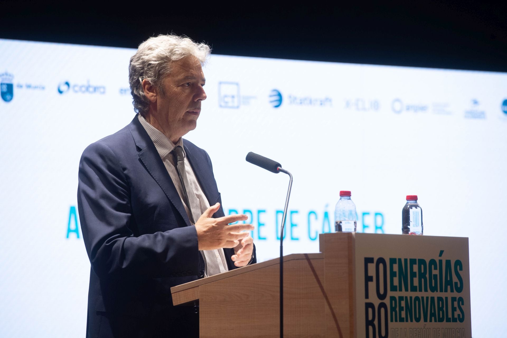 El foro sobre el impacto de las renovables en el modelo energético de la Región de Murcia, en imágenes