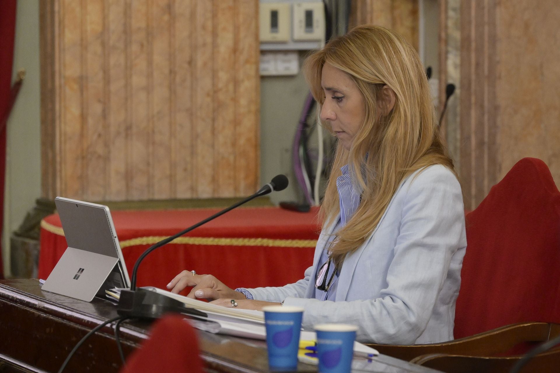 El Pleno del Ayuntamiento de Murcia del mes de mayo, en imágenes