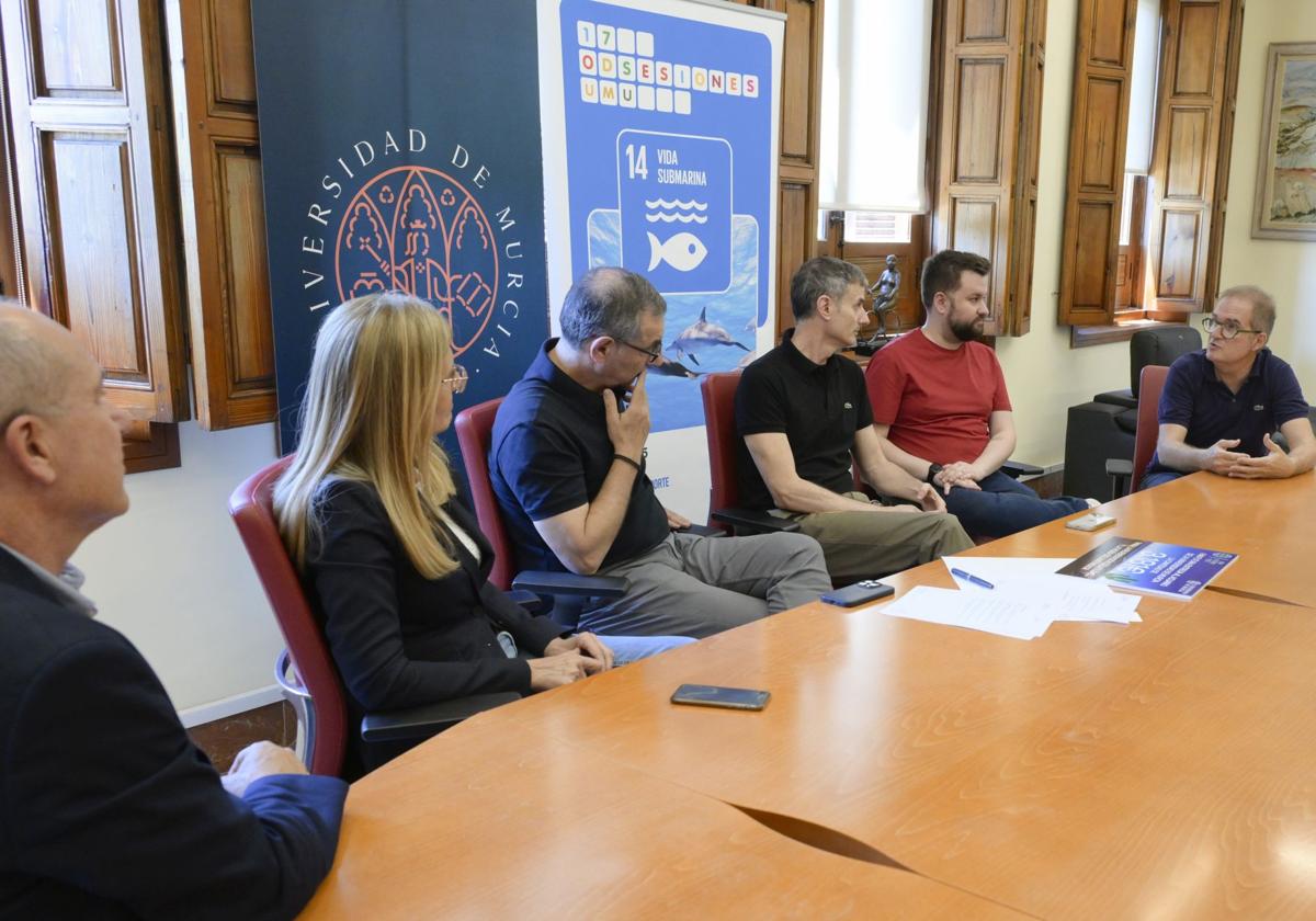 El fan futura fest dona más de 3. 000 euros para la recuperación de la nacra del mar menor | la verdad
