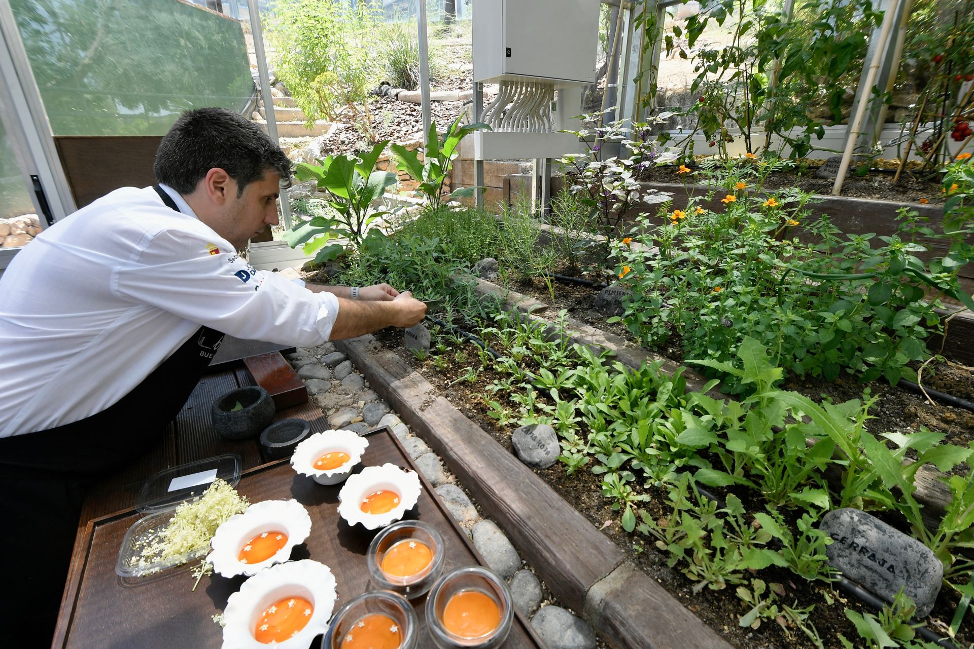 El &#039;Living lab&#039; del restaurante de Pablo González, en imágenes