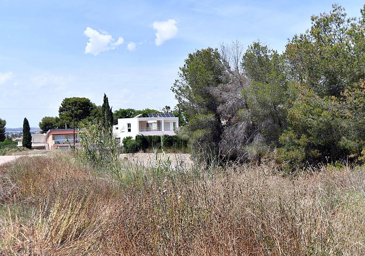 Vegetación seca en la pedanía murciana de Santo Ángel, este lunes.