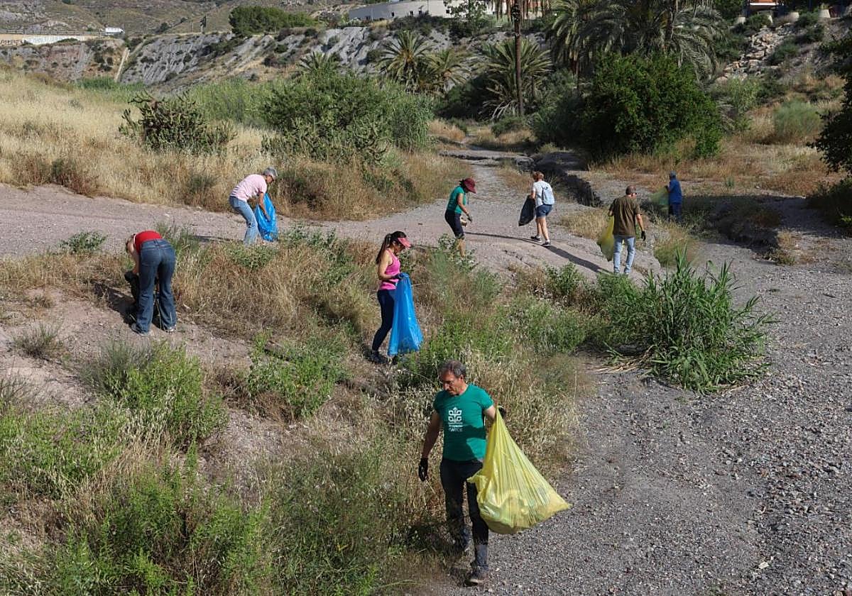 Voluntarios recogen basura en la rambla de Las Chatas, ayer.