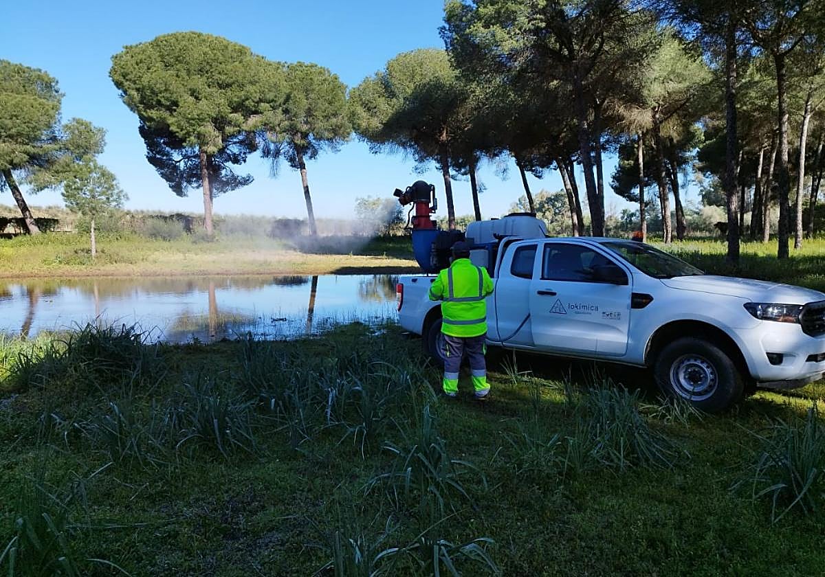 Técnico de Lokímica realizando un tratamiento larvicida con cañón nebulizador en una zona húmeda natural. Intervención adaptada al entorno para controlar poblaciones de mosquito sin alterar el ecosistema.