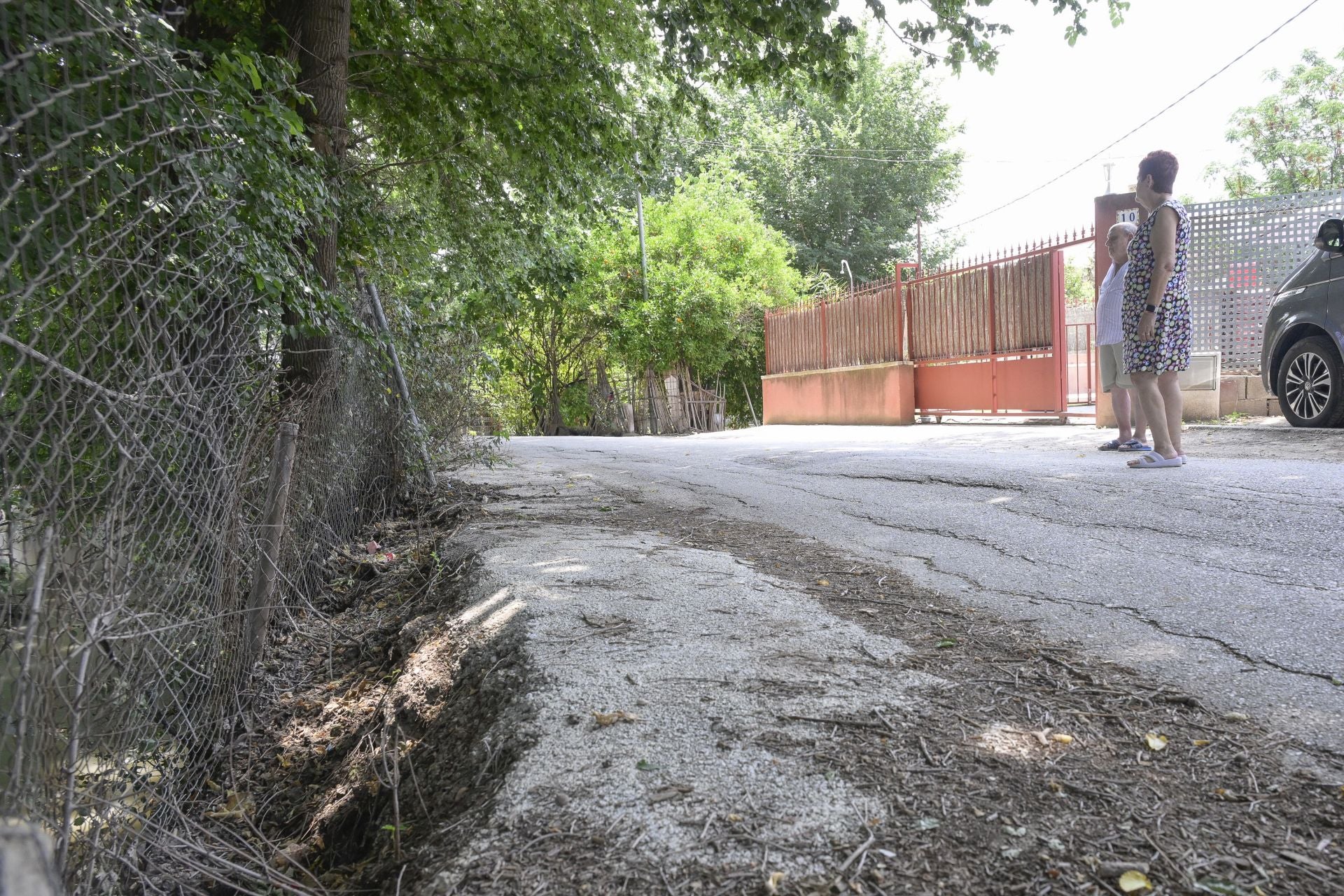 Desperfectos, falta de servicios y plagas en Aljucer, en imágenes