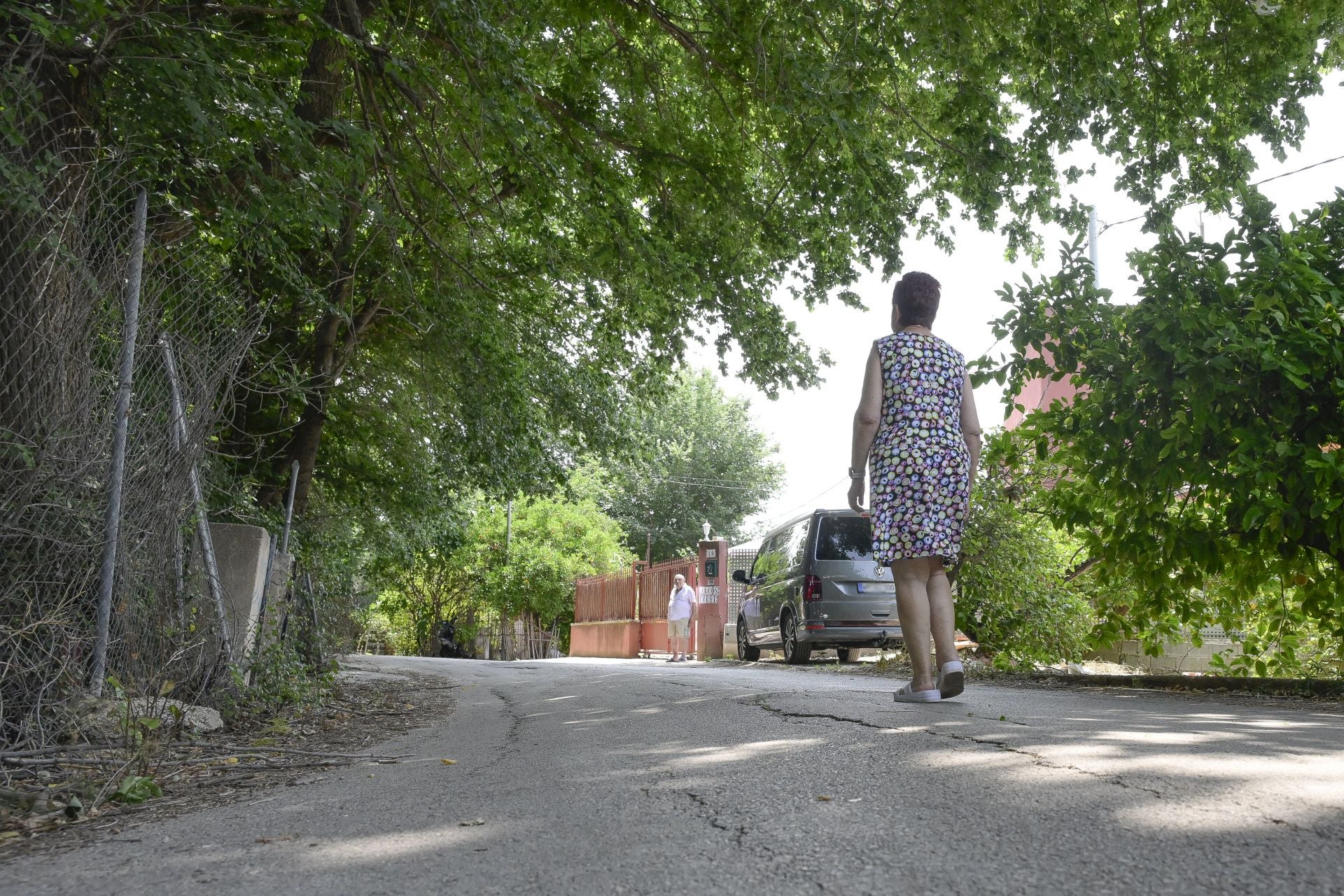 Desperfectos, falta de servicios y plagas en Aljucer, en imágenes