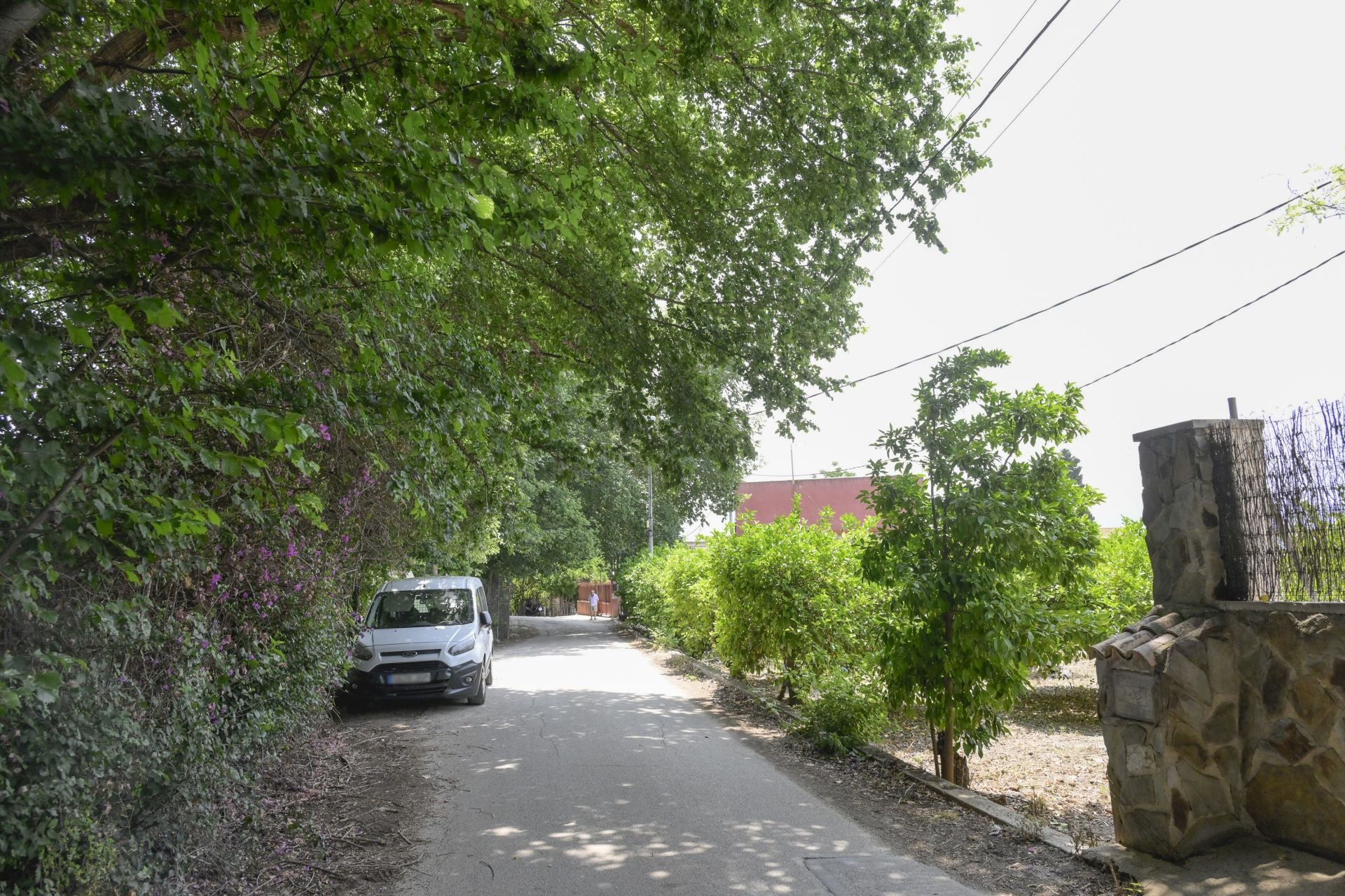 Desperfectos, falta de servicios y plagas en Aljucer, en imágenes