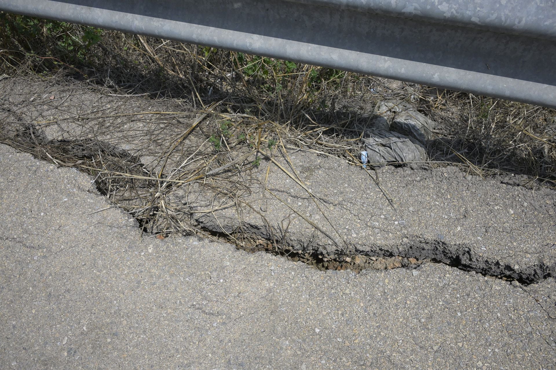 Desperfectos, falta de servicios y plagas en Aljucer, en imágenes