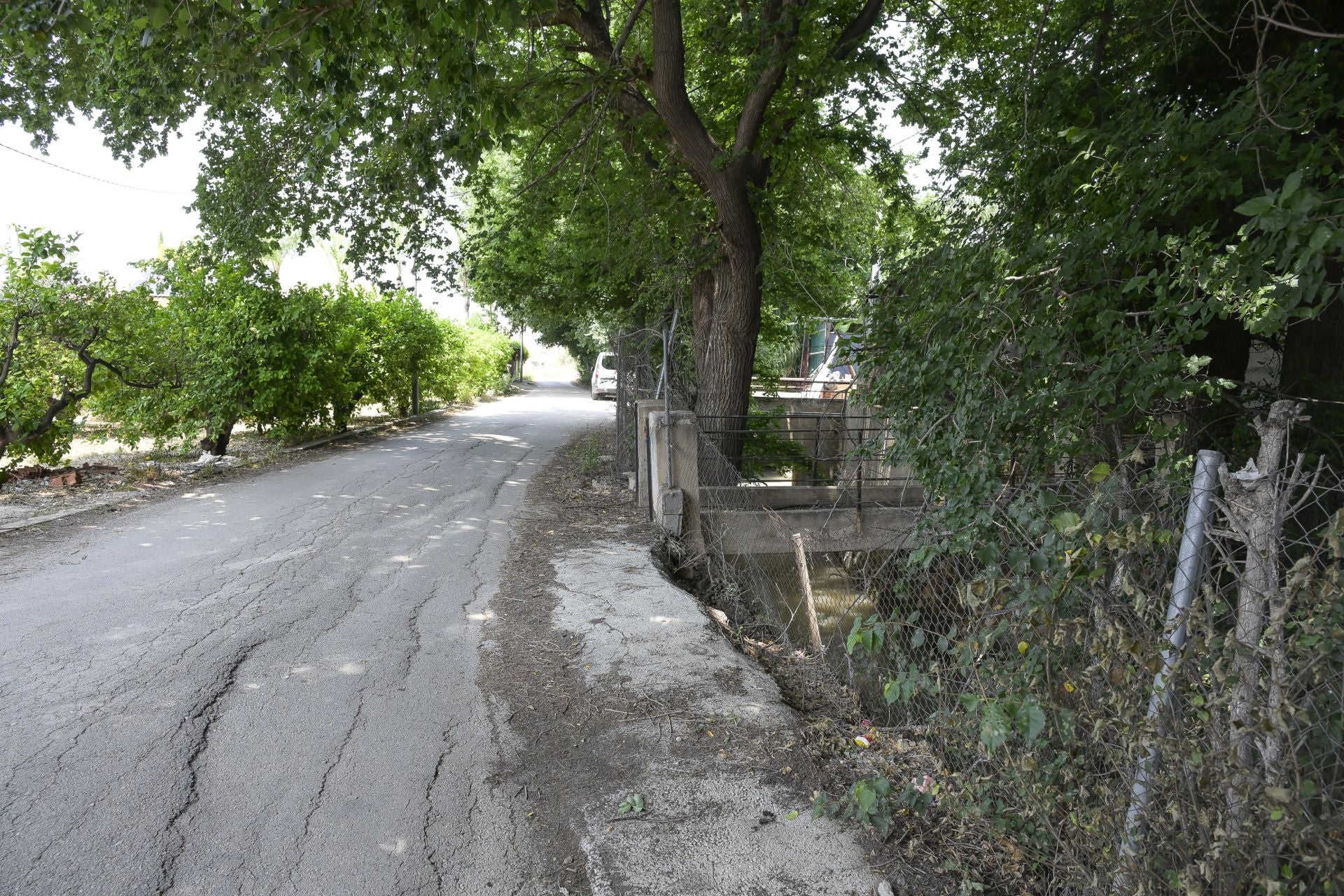 Desperfectos, falta de servicios y plagas en Aljucer, en imágenes