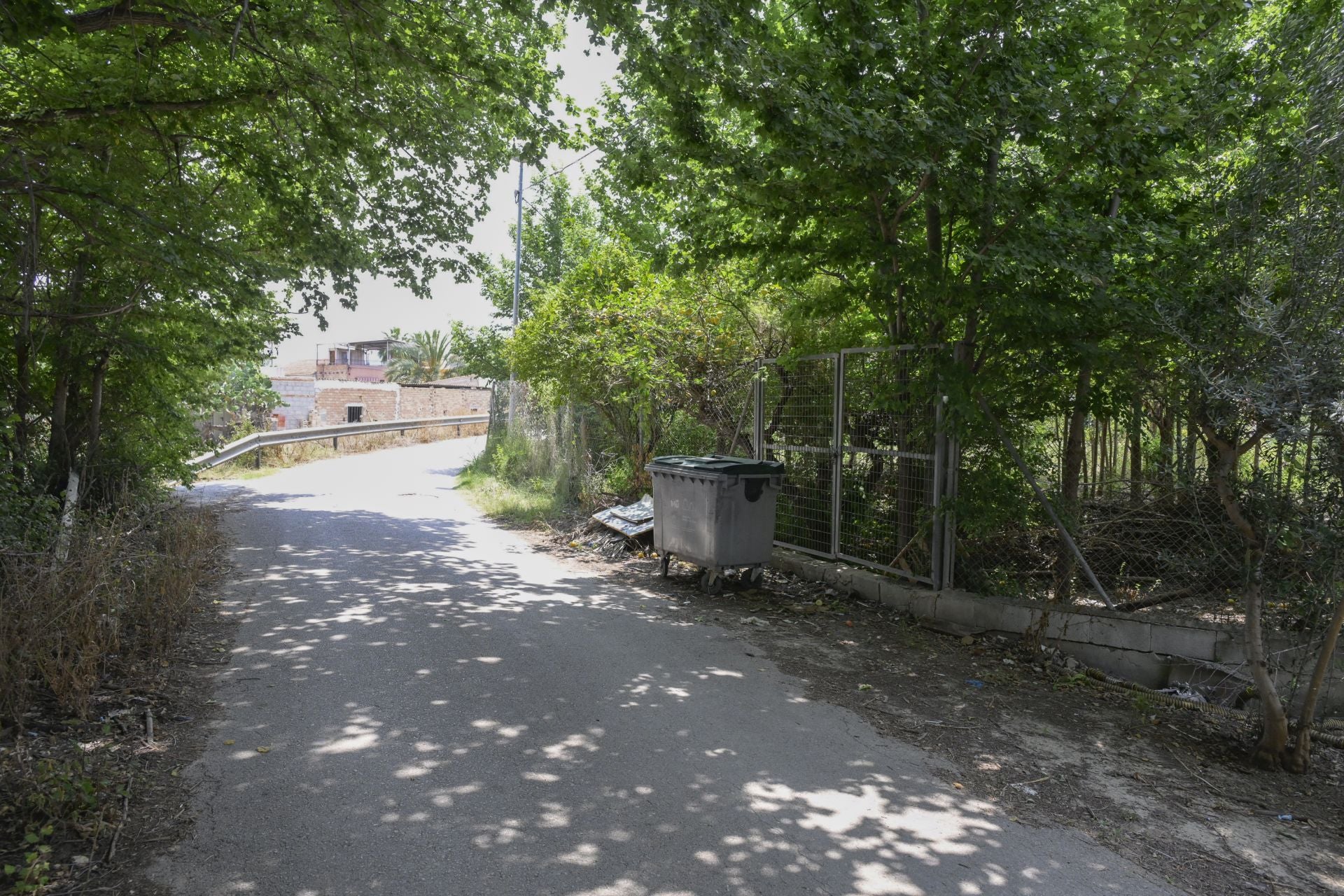 Desperfectos, falta de servicios y plagas en Aljucer, en imágenes