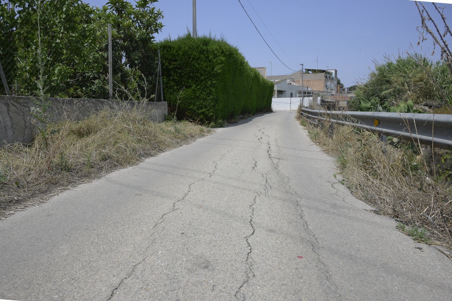 Desperfectos, falta de servicios y plagas en Aljucer, en imágenes