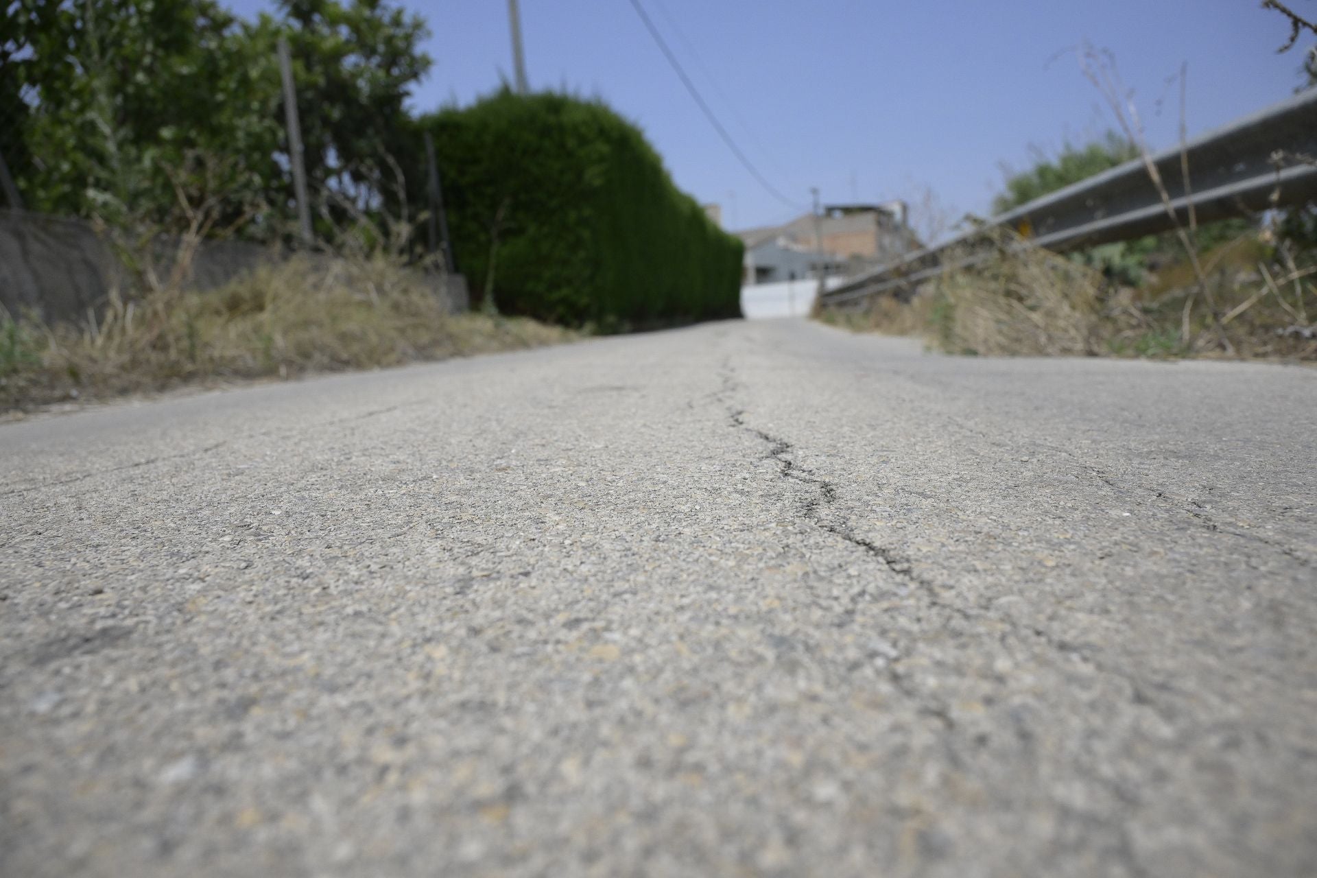 Desperfectos, falta de servicios y plagas en Aljucer, en imágenes