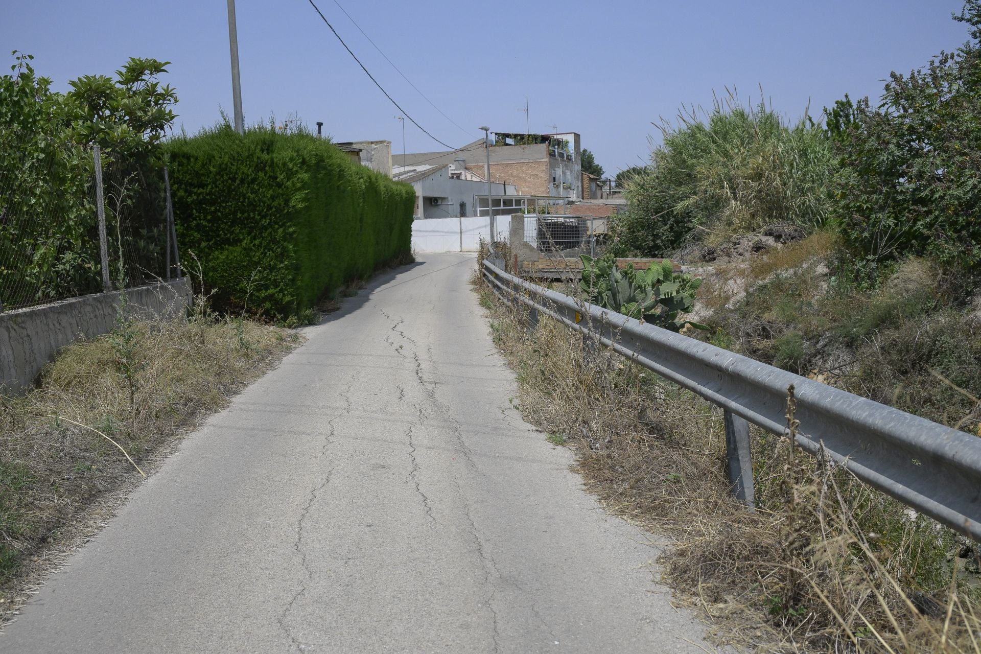 Desperfectos, falta de servicios y plagas en Aljucer, en imágenes