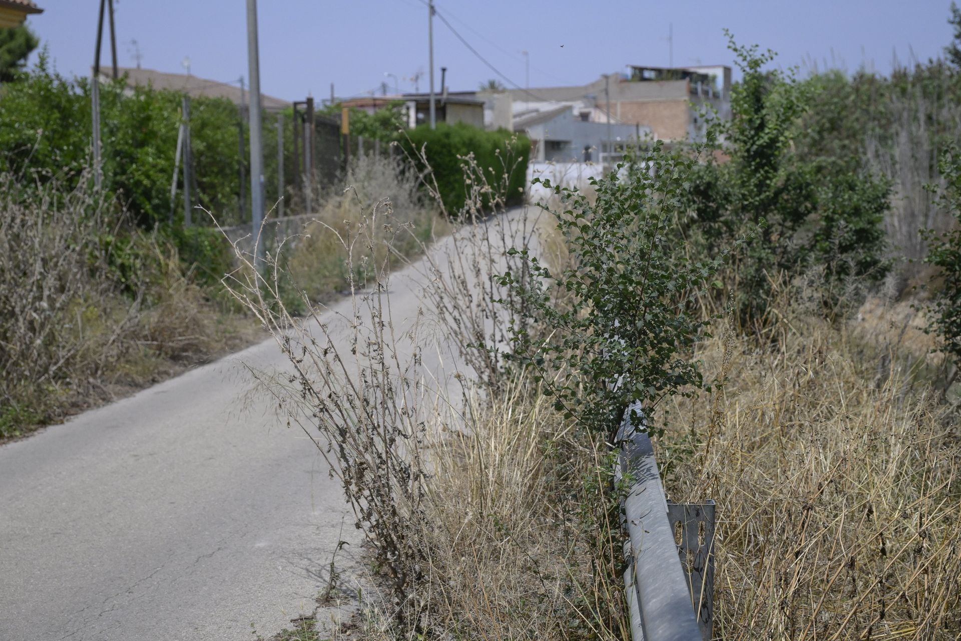 Desperfectos, falta de servicios y plagas en Aljucer, en imágenes