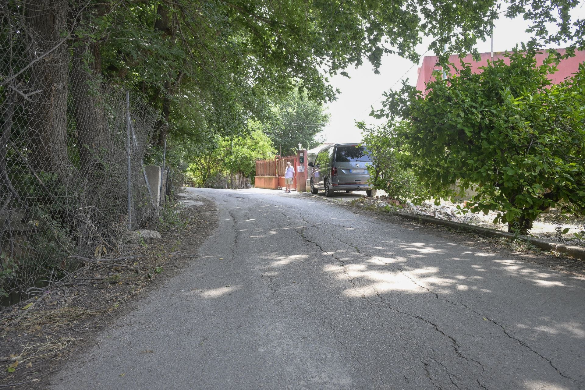 Desperfectos, falta de servicios y plagas en Aljucer, en imágenes