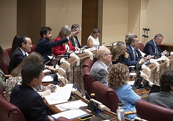El Pleno de la Asamblea Regional, este martes.
